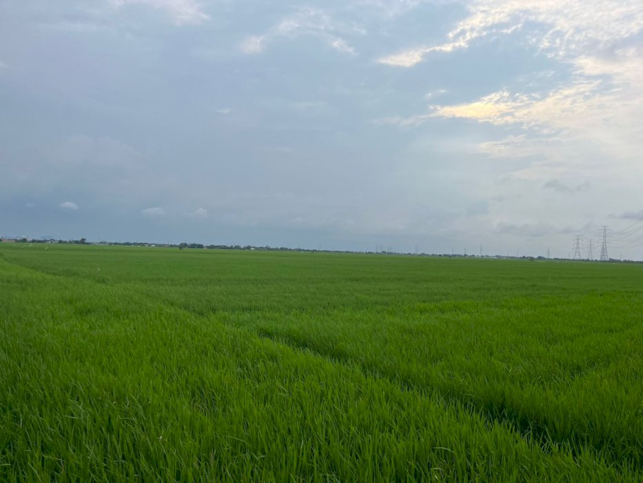 Dijual Tanah KAVLING