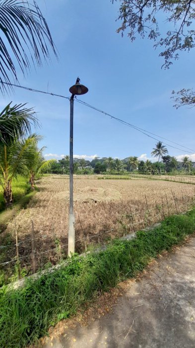 Jual sawah buat yang suka beli beli tanah buat proyek boleh di tanya