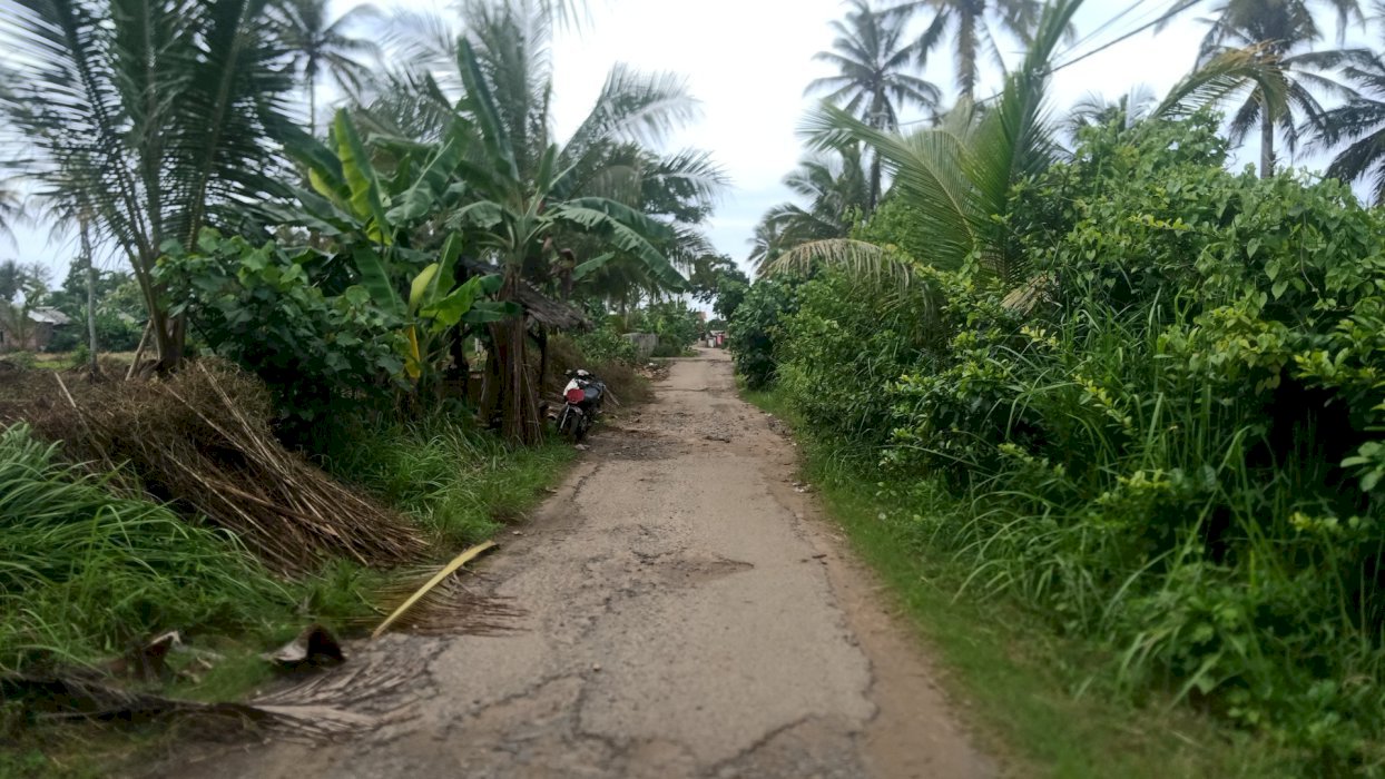Di Jual Tanah Pinggir Jalan 1500 Meter