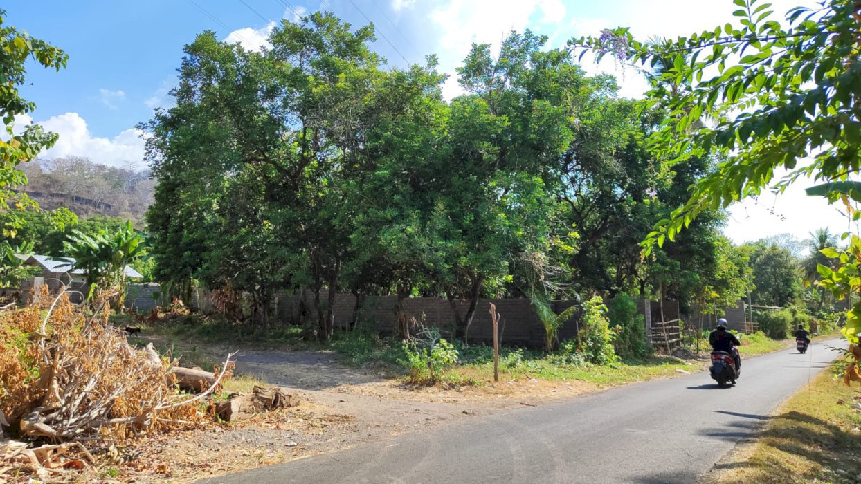 TANAH GLOBAL TEMUKUS , BALI