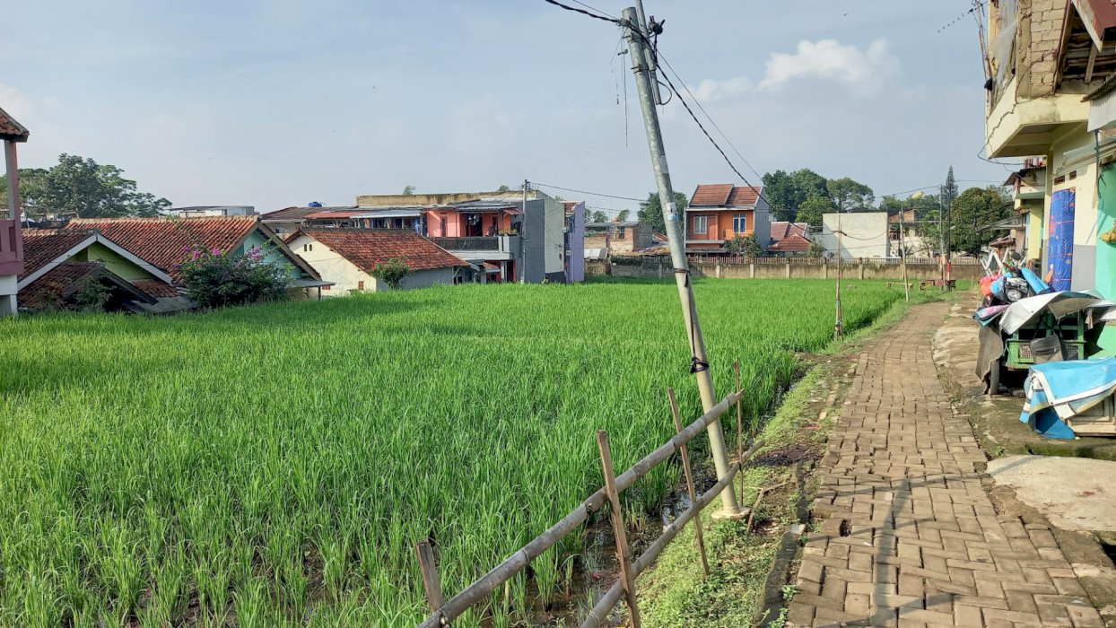 JUAL SAWAH PUSAT KOTA CIMAHI