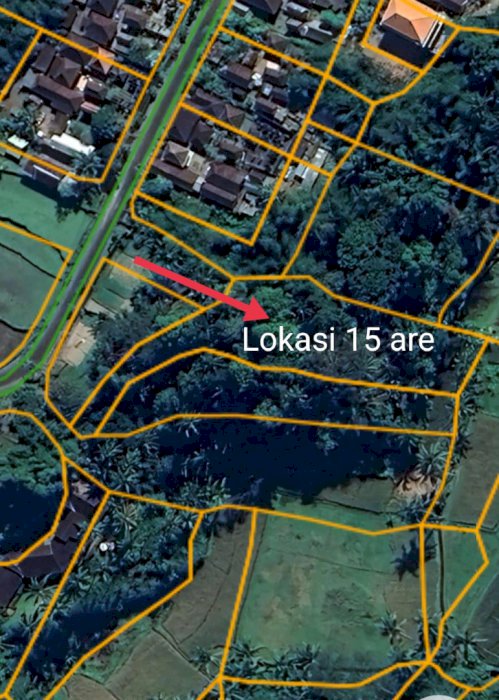 Tanah View Rice Terrace