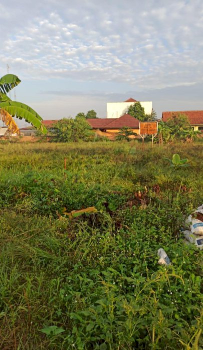Dijual tanah Kavling Asri dekat Desa & SD, SMP Sukajaya Ceger Cibitung