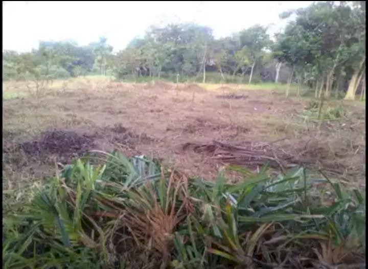 Dijual MURAH Tanah 3000m di Cileungsi