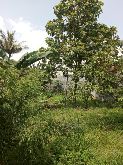 Dijual tanah ukuran 370m² daerah Parung Bogor