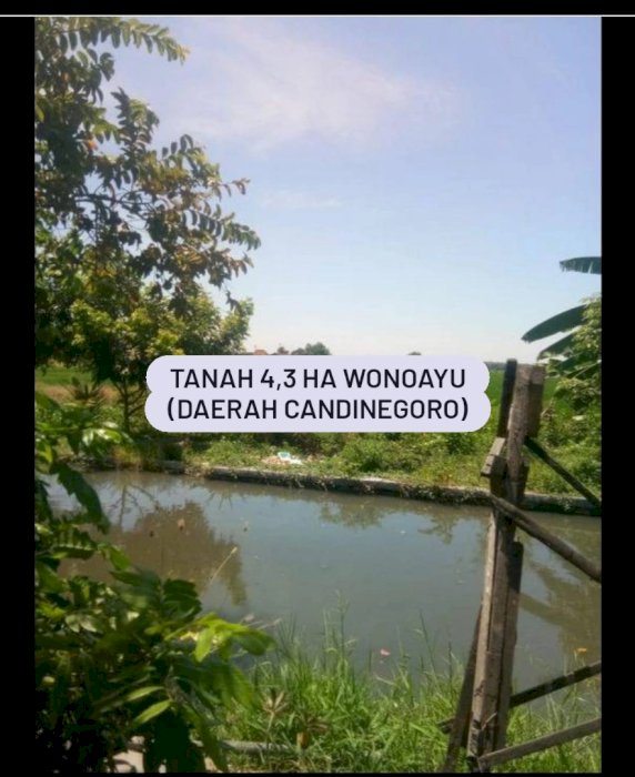 TANAH WONOAYU, KAB SIDOARJO - COCOK UNTUK INDUSTRI DAN PERUMAHAN