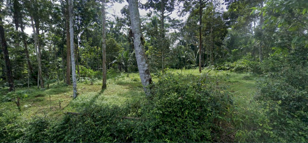 Dijual Tanah Murah di Kecandran, Sidomukti, Salatiga