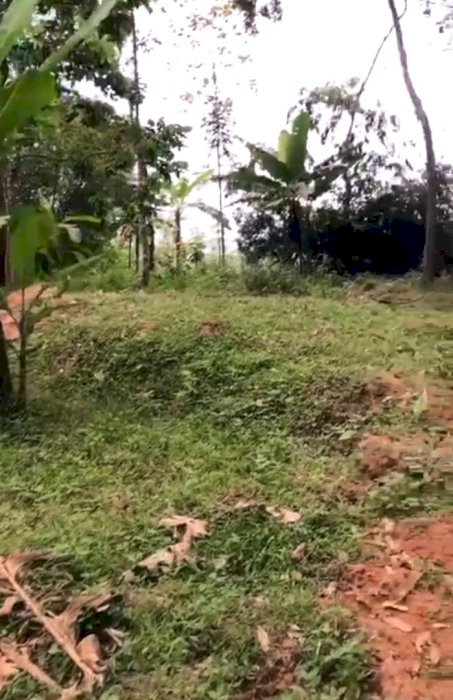 Tanah depan jalan raya mundingan Gunungpati Semarang