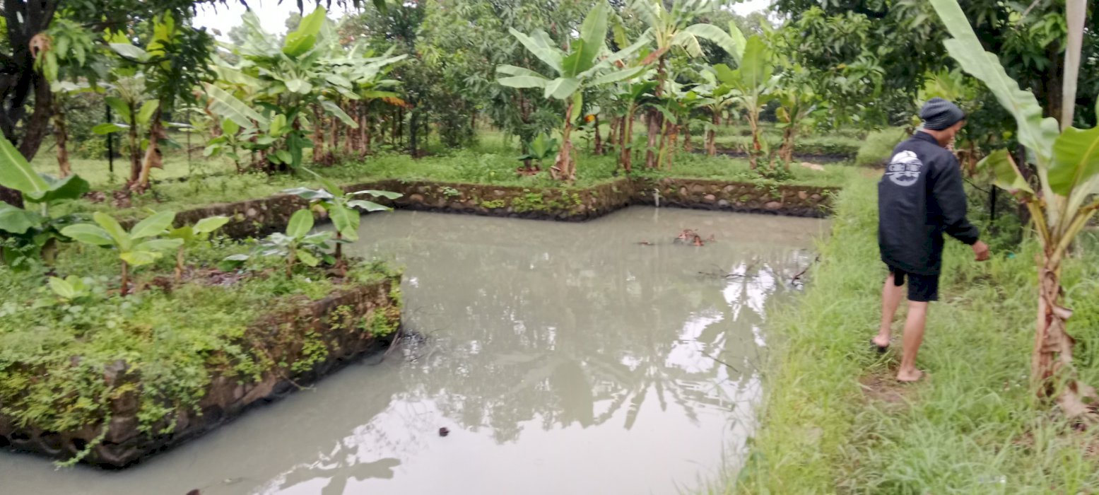 Bismillah dicari  Buyer, jual Tanah Luas 4 hektare