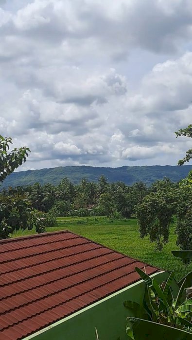 Dicari Pembeli Rumah Bule