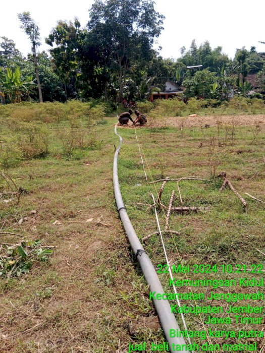 Tanah kavling glundengan jember