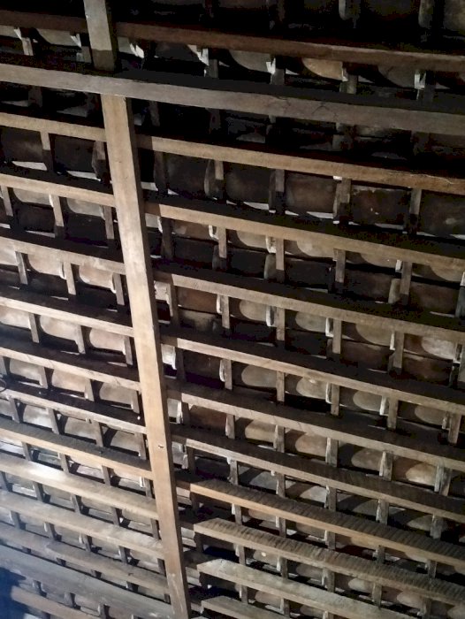 rumah dan pekarangan