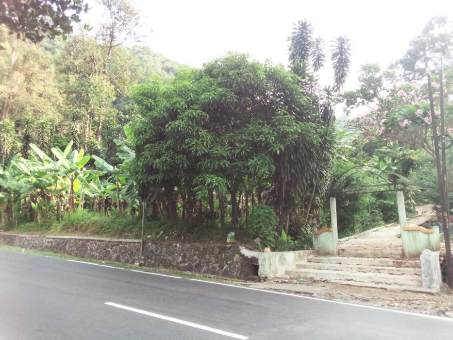 Tanah Pengembangan ECO Wisata--Depan Rumah Makan dan Kolam Renang