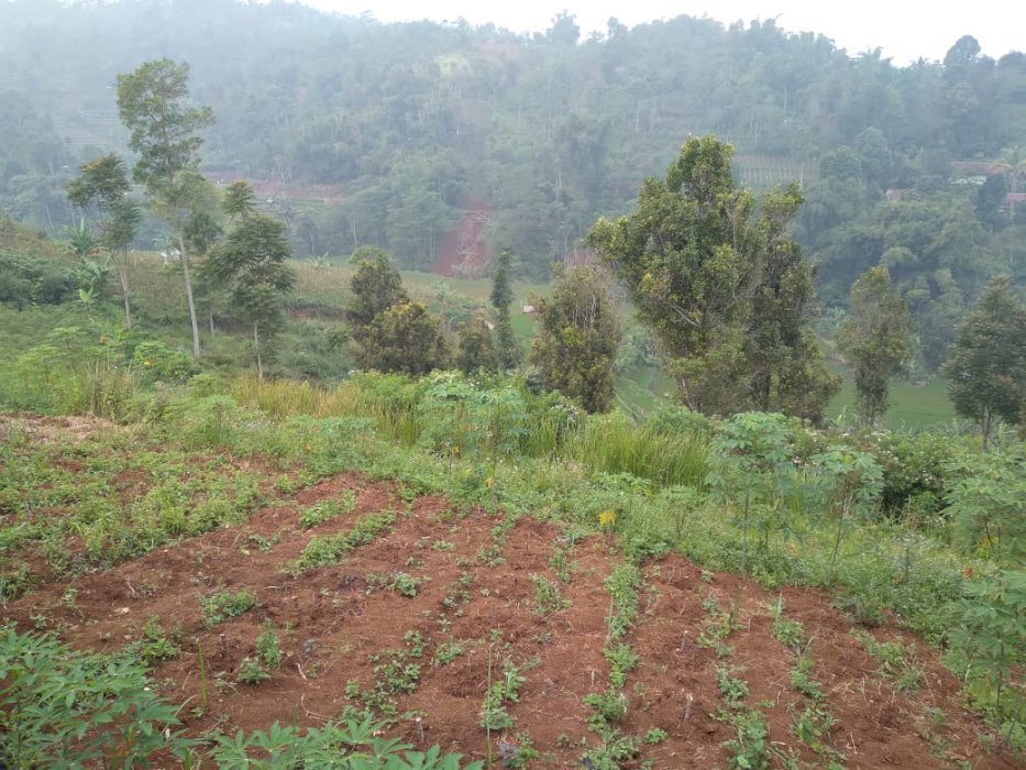 Tanah Cipada, Cisarua, Kabupaten Bandung Barat