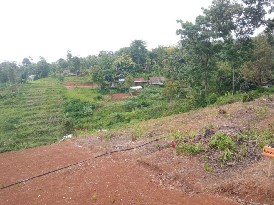 Tanah cavling murah, dibawah pasaran , yuk jadwalkan survei