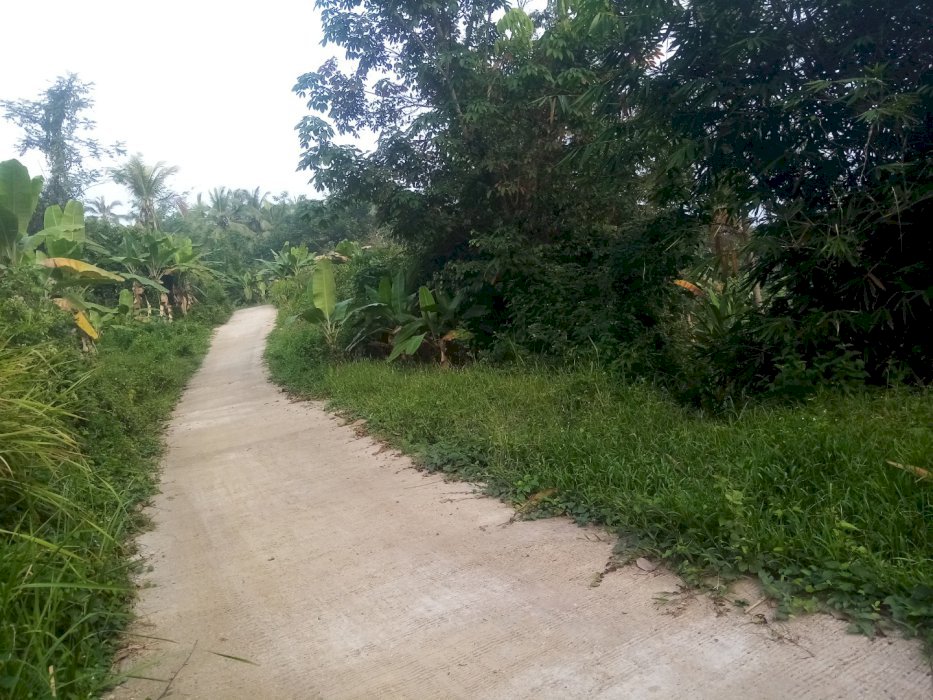 Tanah kebun luas 8 hektar surat ajb akses mobil