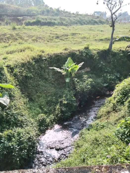 Tanah kavling kawasan bogor puncak