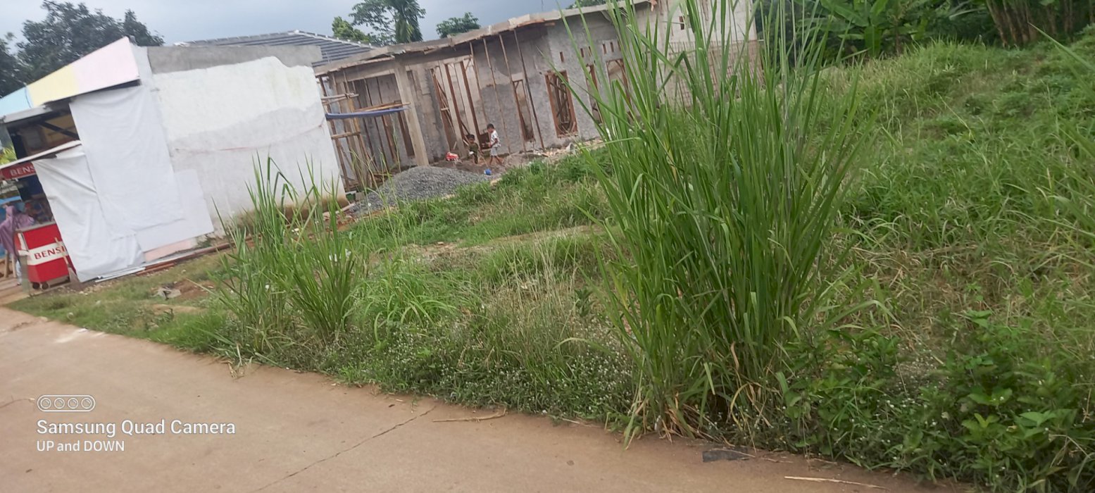 Di Jual Tanah Di Daerah Parung Kemang Bogor