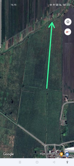 Jual tanah sawah gogolan luas 1250m²