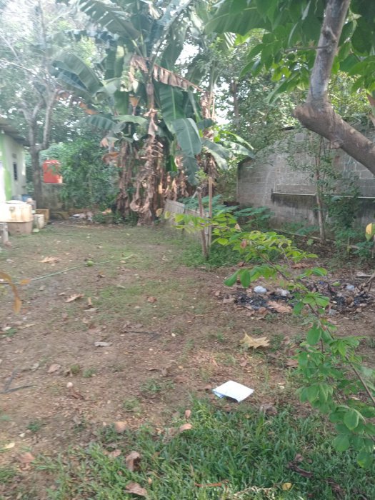 DI JUAL LAHAN TANAH LUAS 100 m²