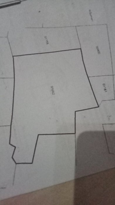 Jual sawah murah oke