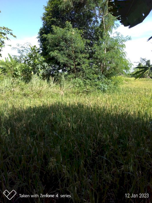 Tanah akan segera dijual