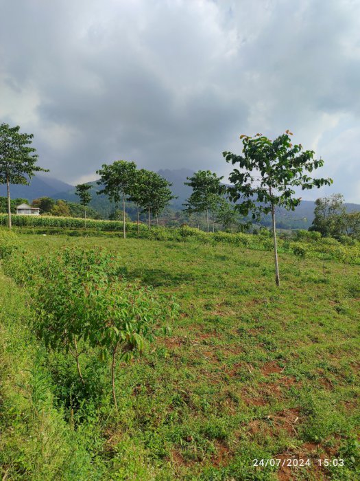 Tanah Kavling Murah dan Strategis View Sejuk