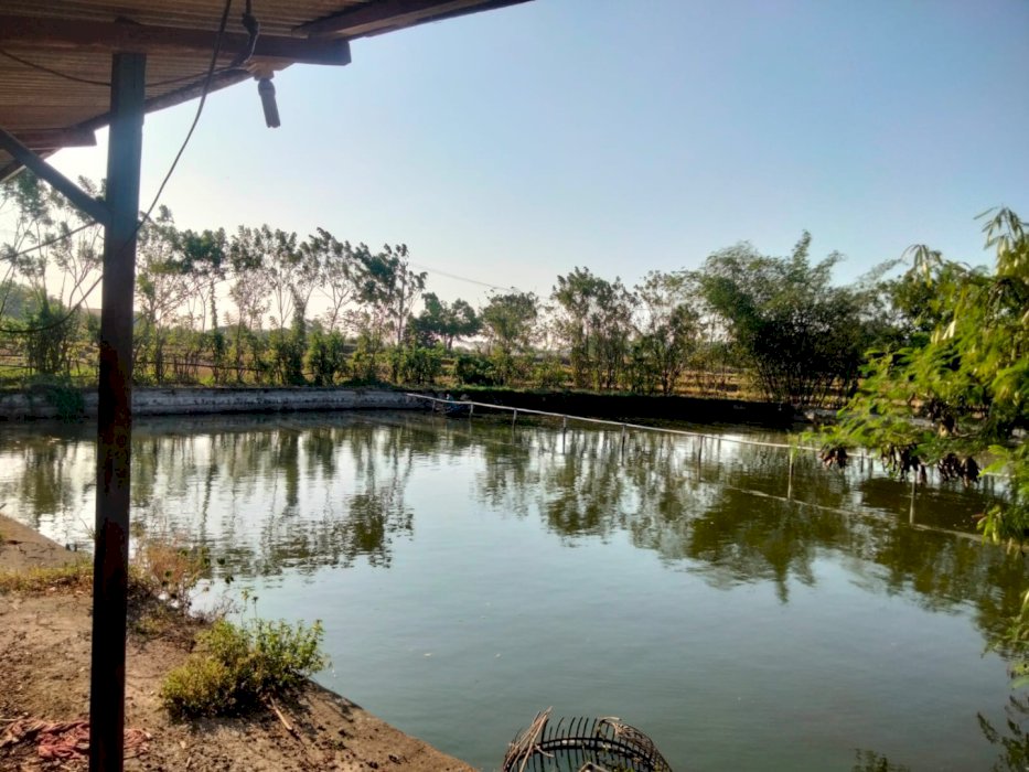 Dijual murah tanpa perantara butuh uang Tanah & Pemancingan Purwakarta