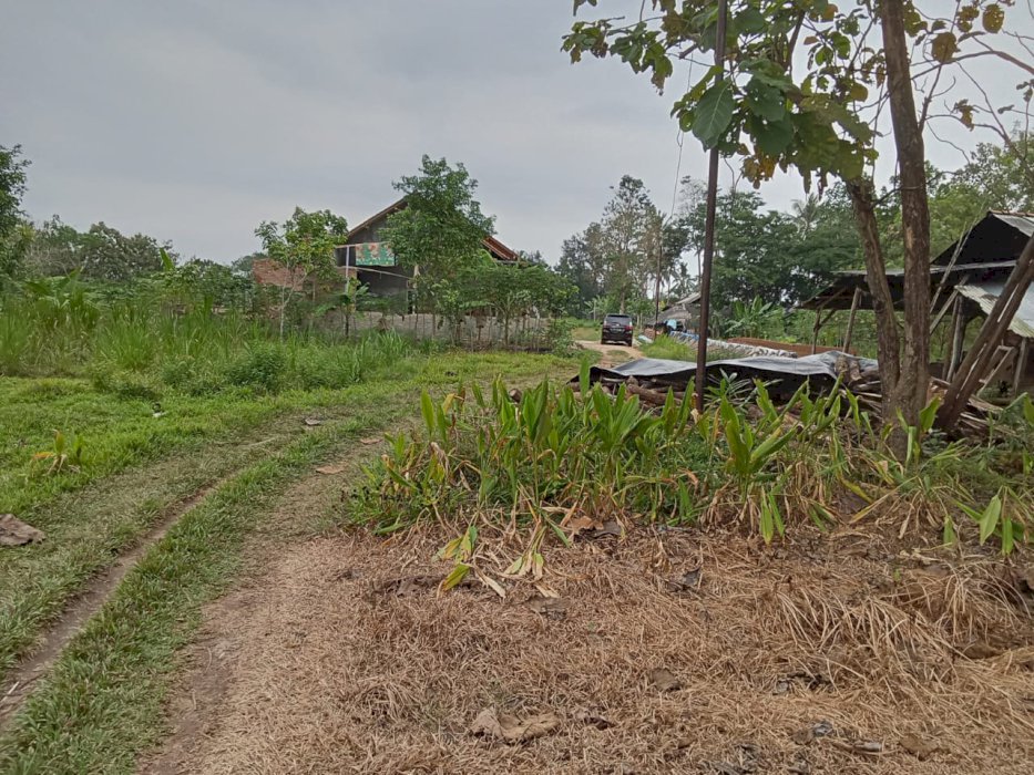 Tanah datar siap bangun