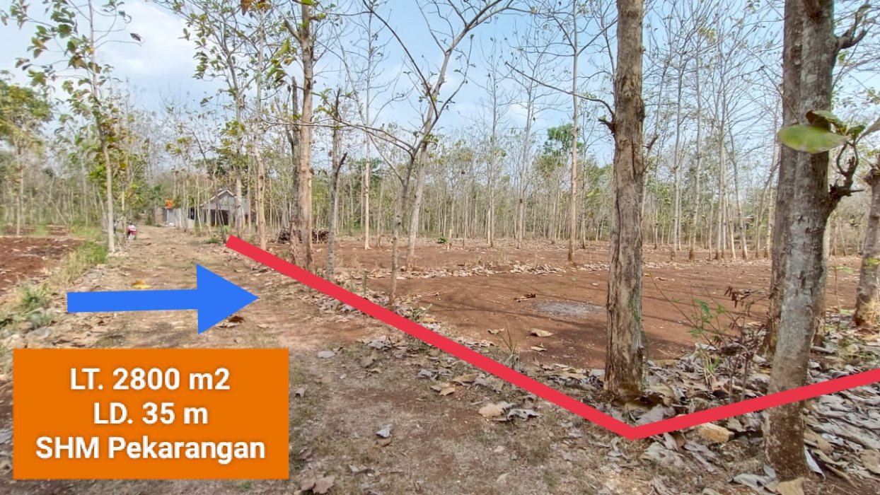 Jual Tanah murah Dekat Kota di Bejiharjo Karangmojo Gunungkidul