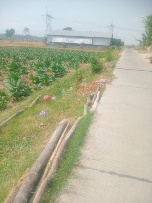 Sawah lahan luas surat petok