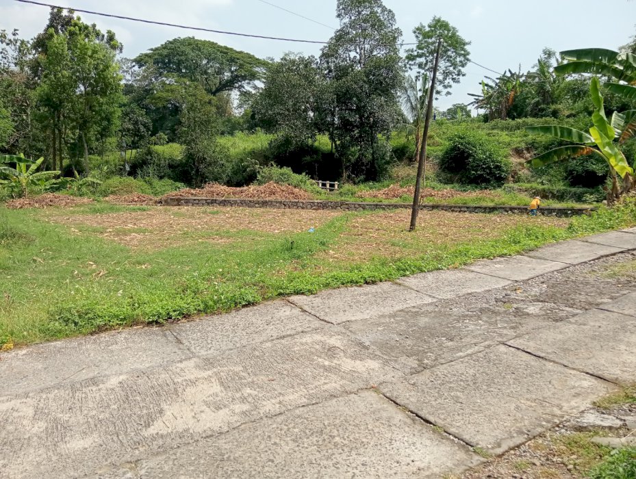 Tanah bekas sawah cocok untuk usaha atau perumahan