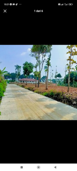 Jual lahan kebun kayu jati