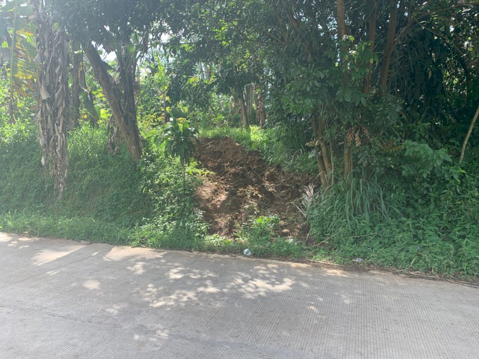 jual tanah murah pinggir jalan