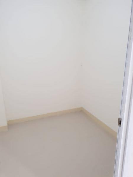 GREEN PRAMUKA CHRYSANT KOSONGAN PER TAHUN 2 BR