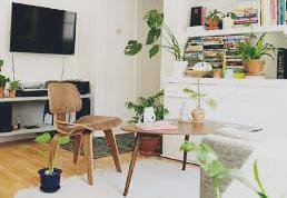 GREEN PRAMUKA DI MALL FURNSH STUDIO PERTAHUN