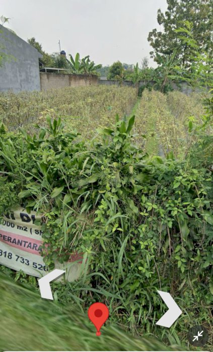 Dijual kebun  luas 1000m²  untuk investasi Kabupaten Bogor