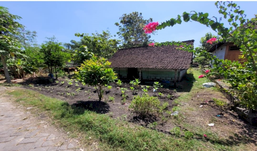 kelurahan Pandan Kec Ngraho Kab Bojonegoro
