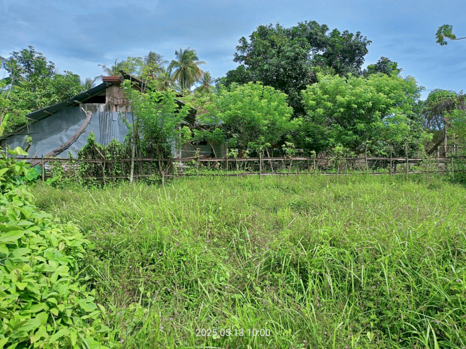Di Jual Tanah Kavling Strategis Di Simpang Tiga Pidie Aceh