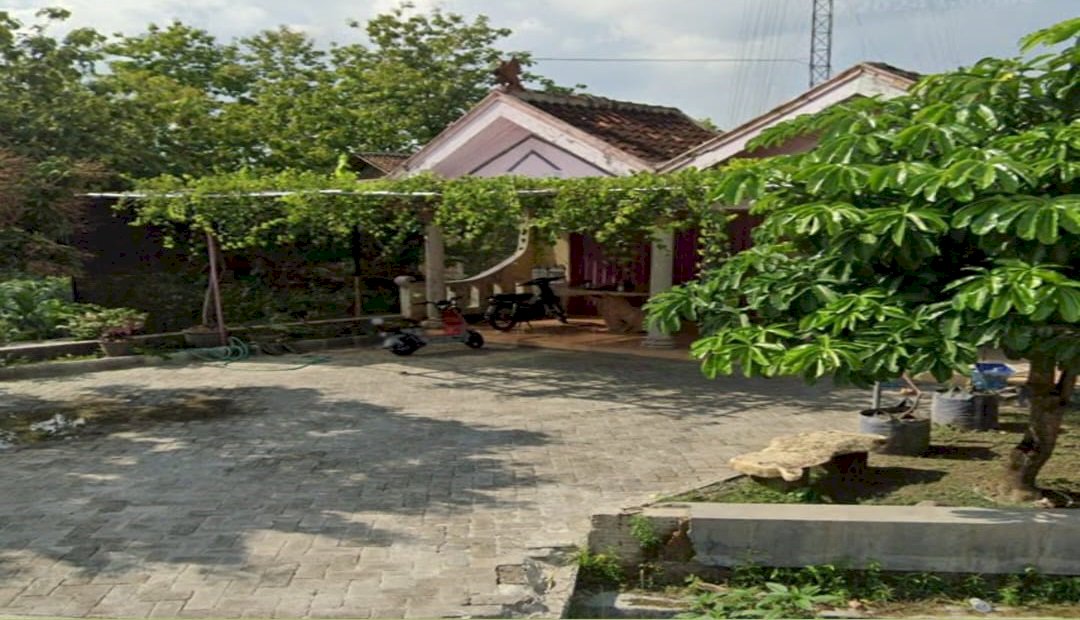 Kelurahan Mojorejo Kec Ngraho Kab Bojonegoro