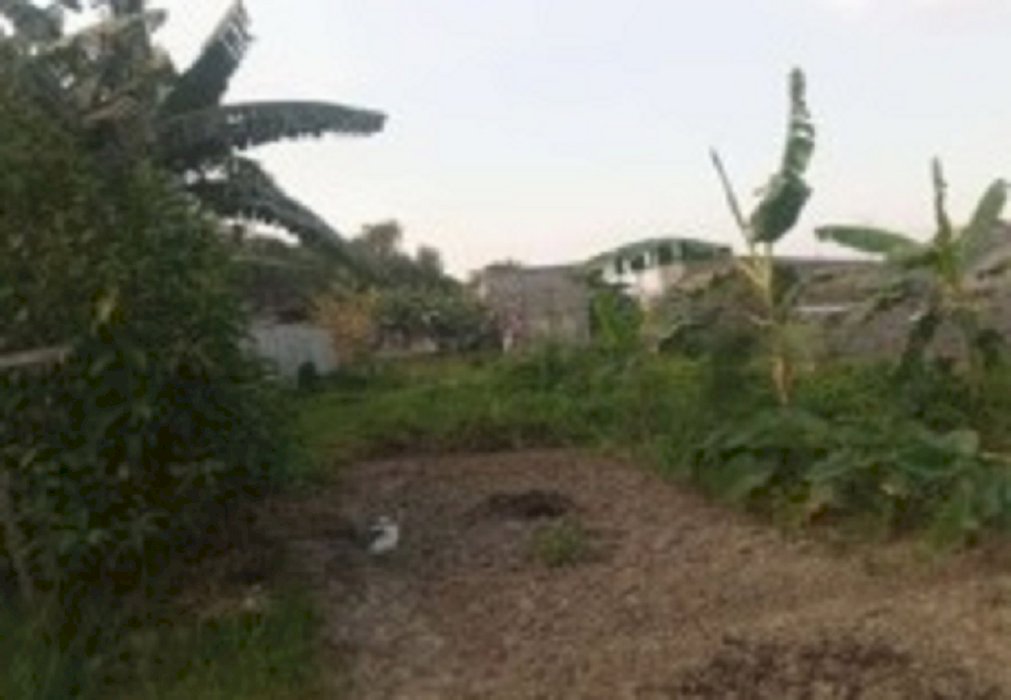 Tanah Kelurahan Singosari Kec Kebomas Kab Gresik