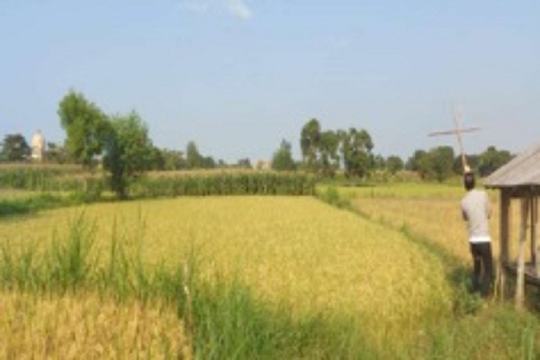 Tanah Kelurahan Sumurber Kec Panceng Kab Gresik