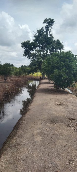 Dijual tanah luas dan 1 rumah cocok untuk investasi kalimantan selatan