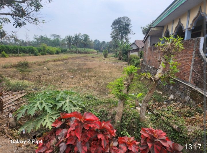 Tanah Kelurahan Sukolilo Kec Wajak Kab Malang