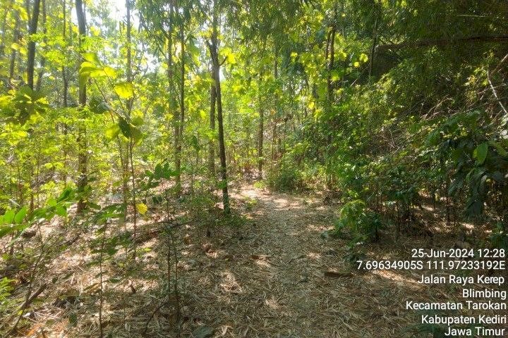 Tanah Kelurahan Blimbing Kec Tarokan Kab Kediri