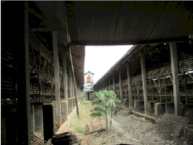 Kelurahan Sukosari Kec Jogoroto Kab Jombang