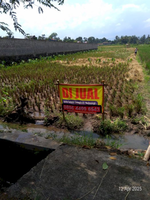 Di Jual Tanah SHM Di Kota Purworejo