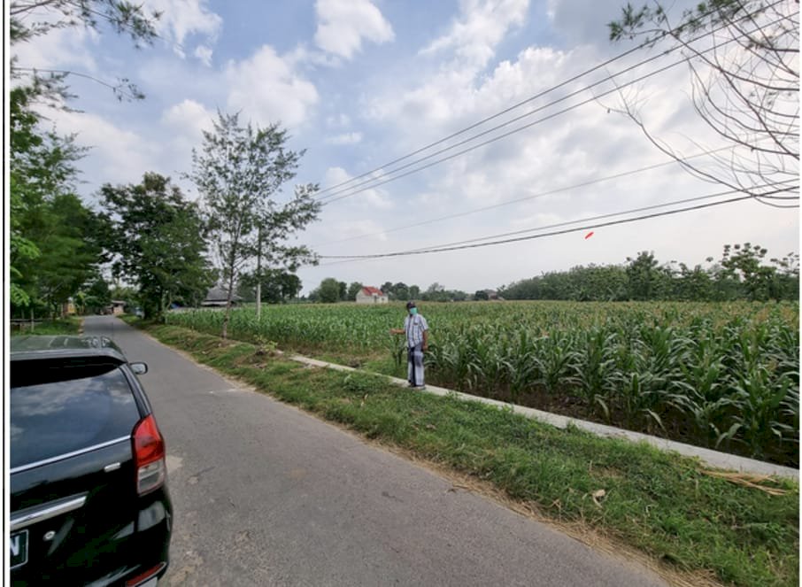 Tanah Kelurahan Tingkis Kec Singgahan Kab Tuban