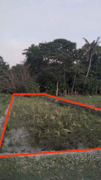 DIJUAL SAWAH DAERAH BANTUL, YOGYAKARTA