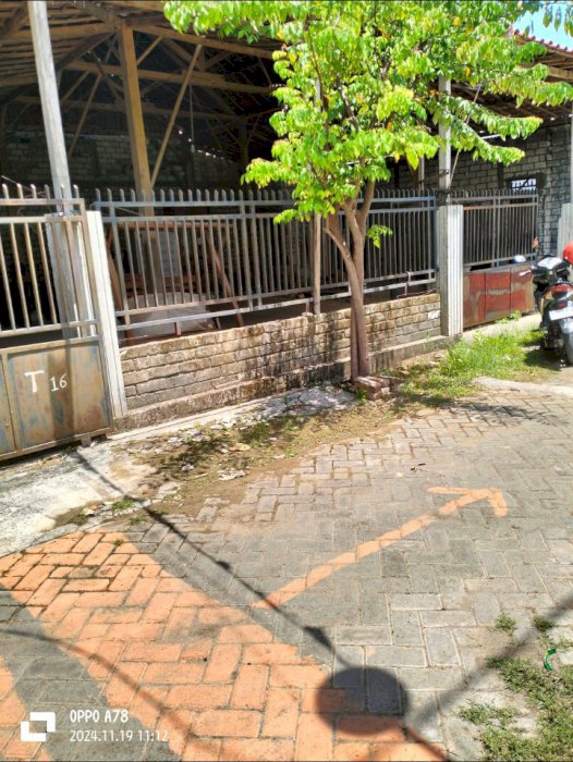 Kelurahan Jenggolo Kec Jenu Kab Tuban